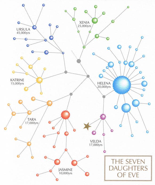 seven-daughters-of-eve-sin-nombres