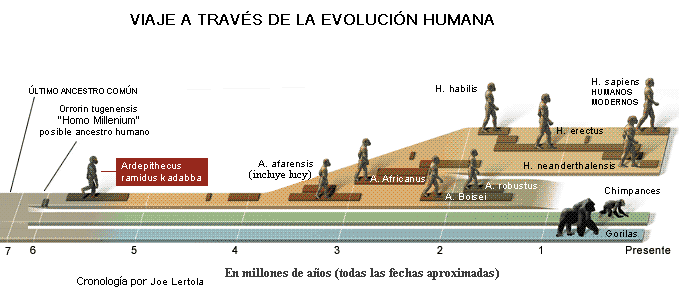apes_timeline1